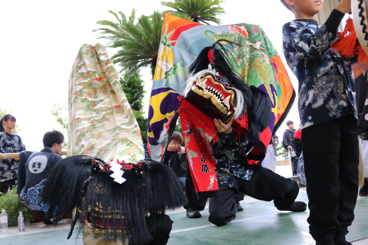 2025年 第41回四箇地区文化祭 山階一斉演舞 上小原獅子組