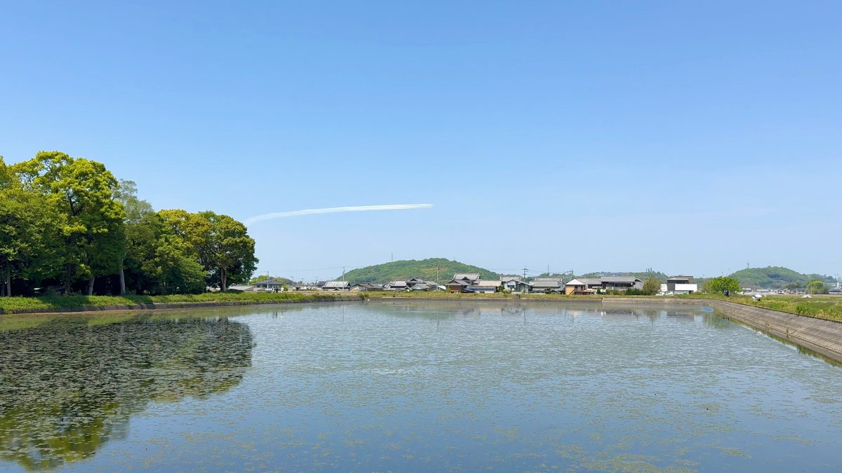 2025年4月27日 ブルーインパルス編隊飛行 多度津町山階・藤波池
