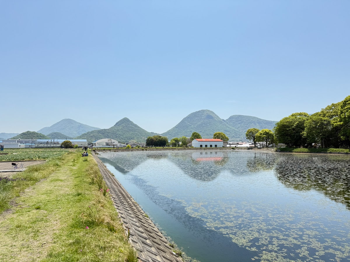 2025年4月26日 多度津町山階・藤波池