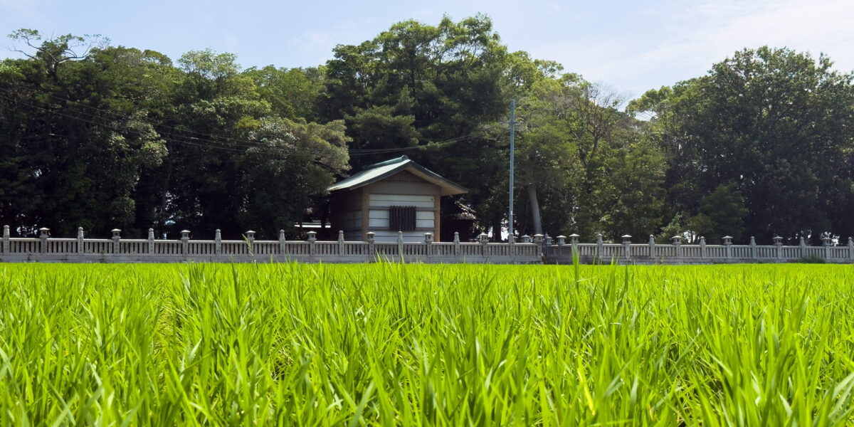 多度津町山階・春日神社と青田