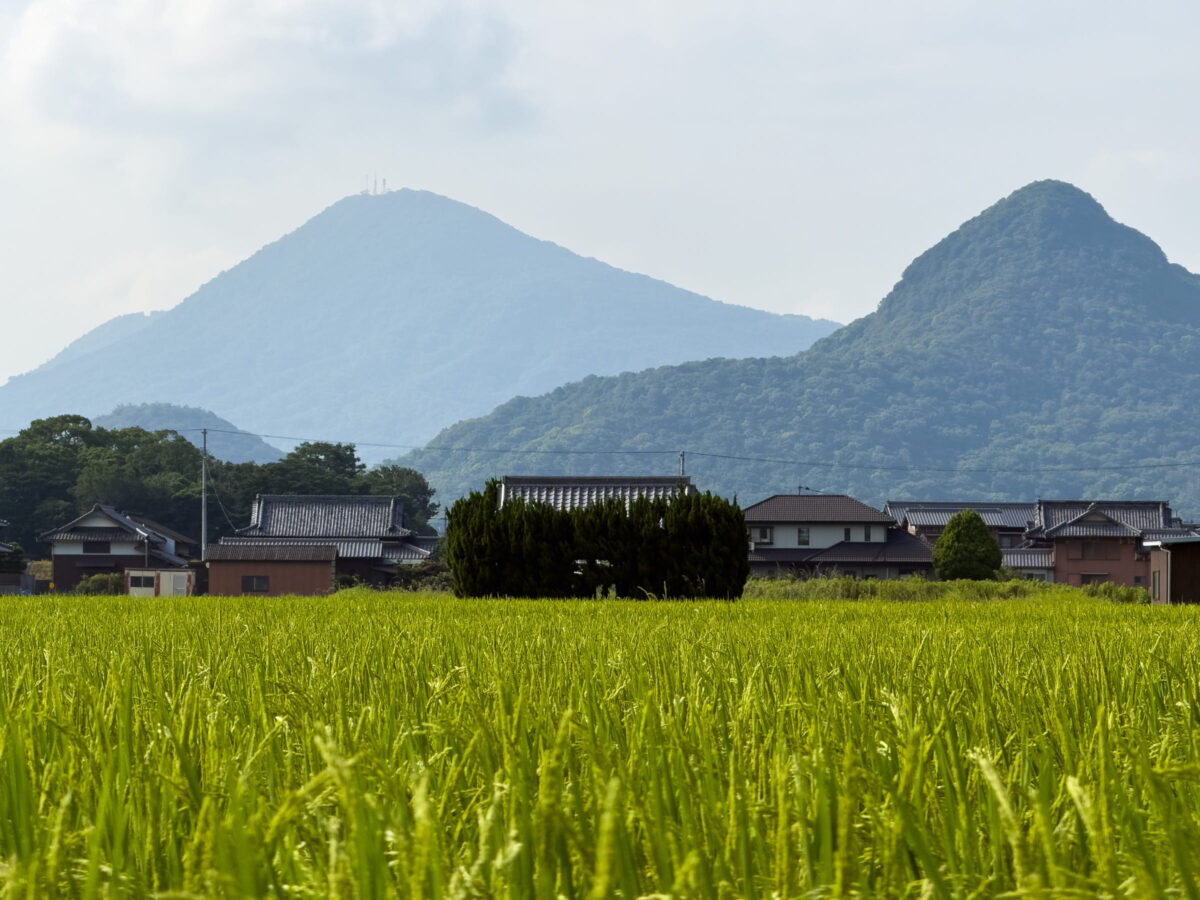 多度津町山階・護正神社と青田