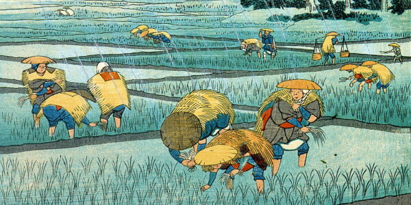 江戸時代の田植え