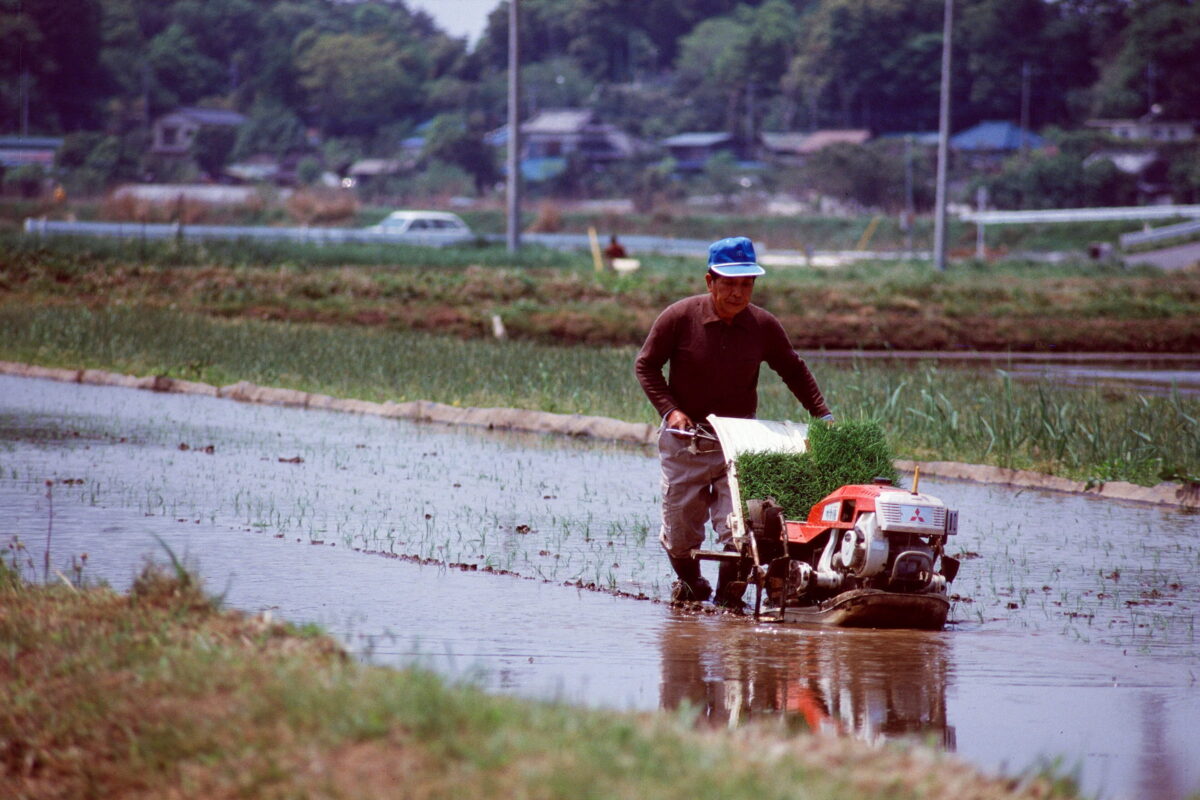 昭和60年(1985)の田植え風景