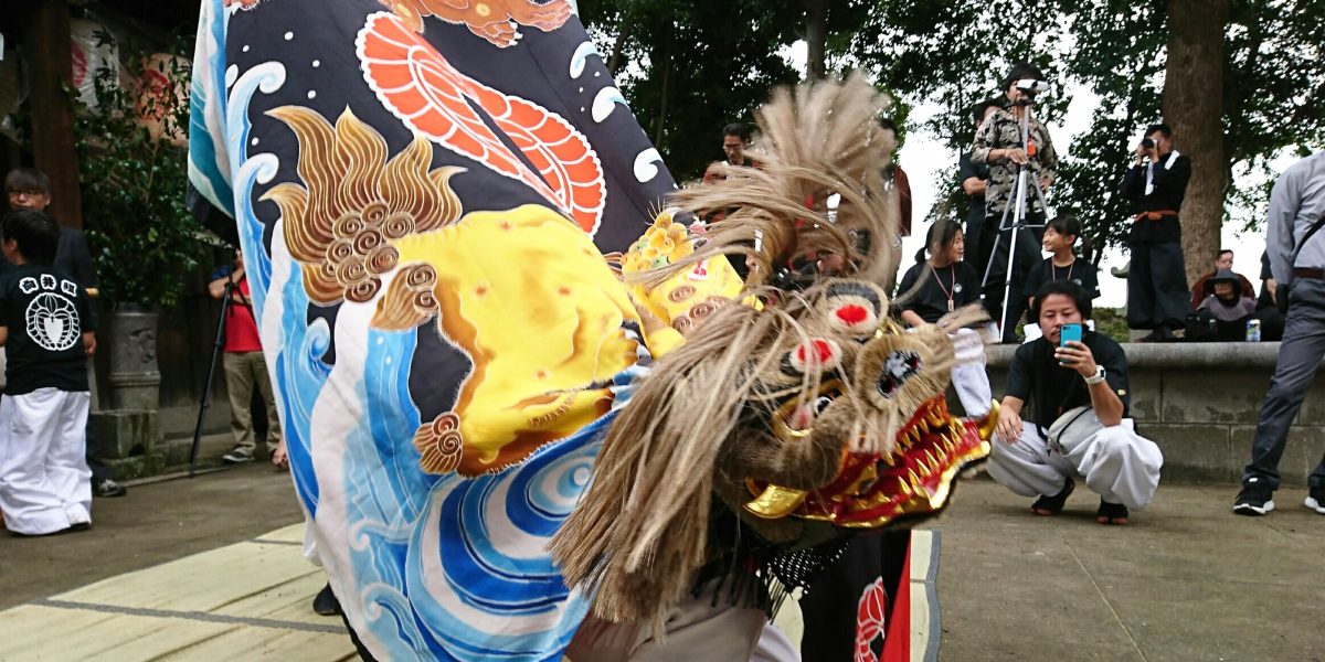向井獅子組 獅子頭と油単