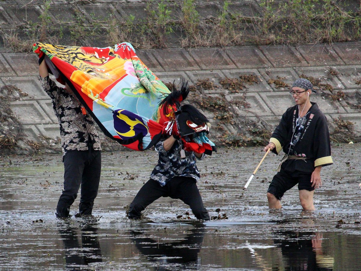 多度津町山階・藤波池 秋季例大祭 ため池に入る獅子舞 上小原獅子組