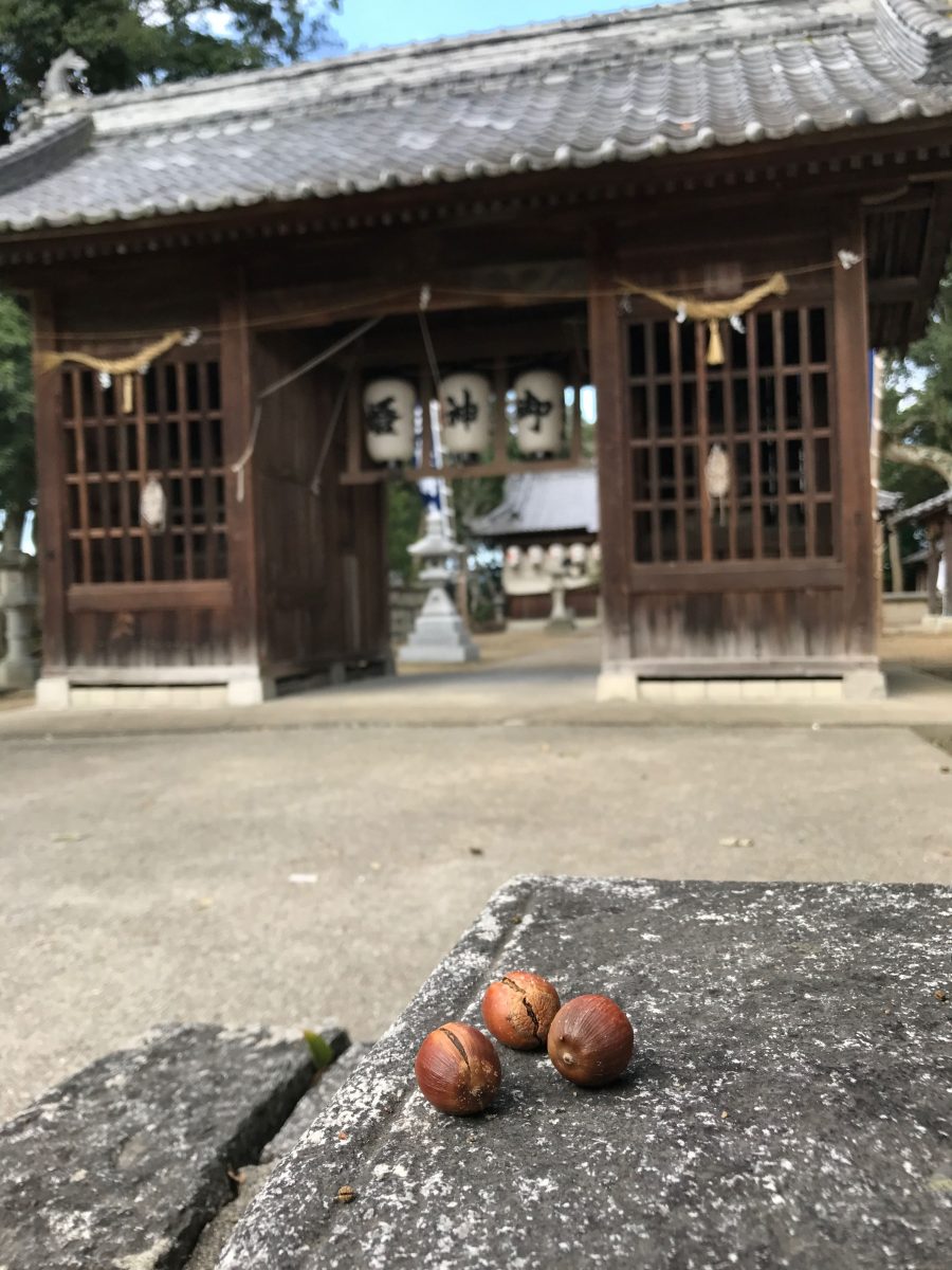 多度津町山階・春日神社 随神門