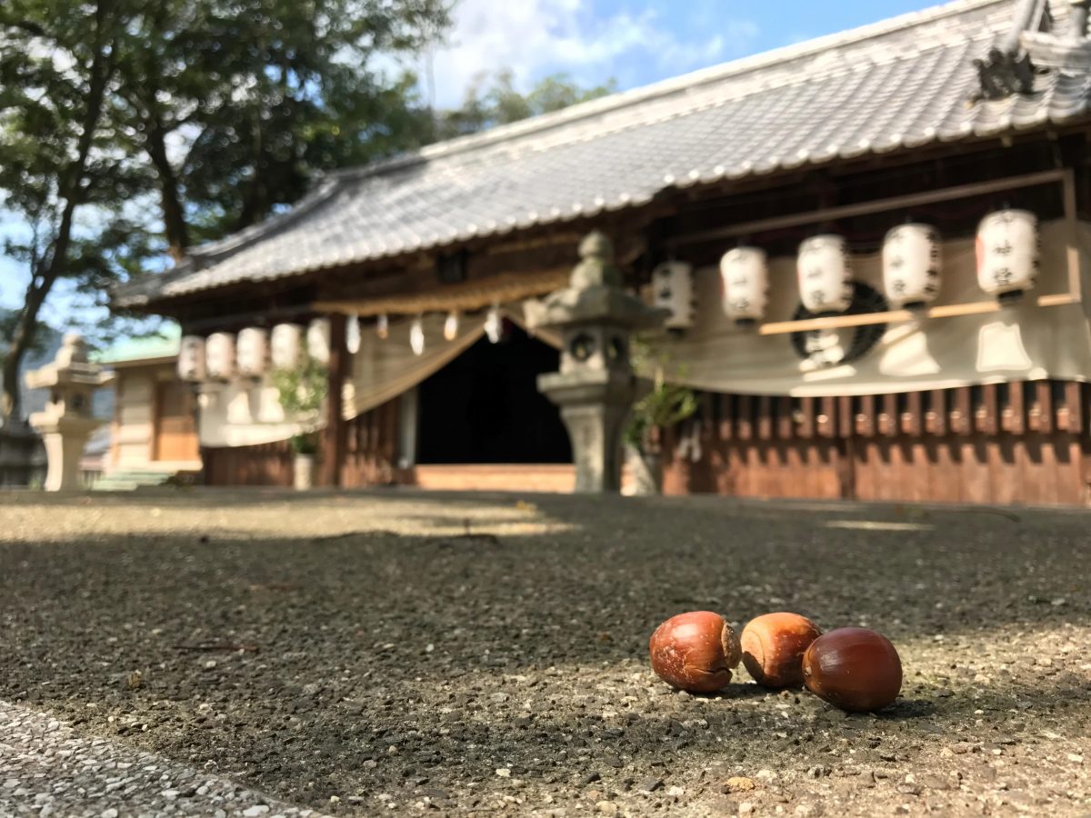 多度津町山階・春日神社 拝殿 神楽台
