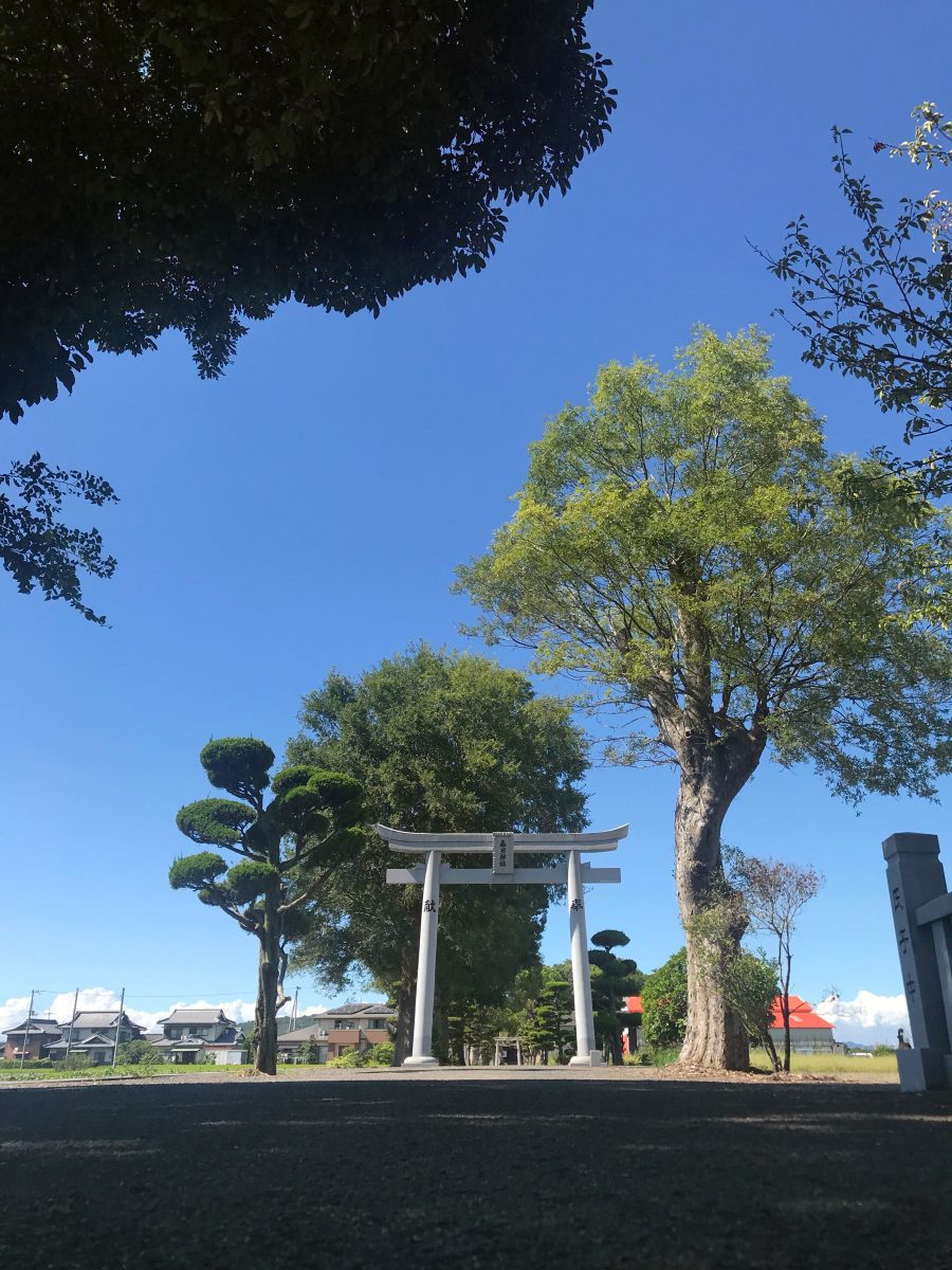 多度津町山階・春日神社 参道