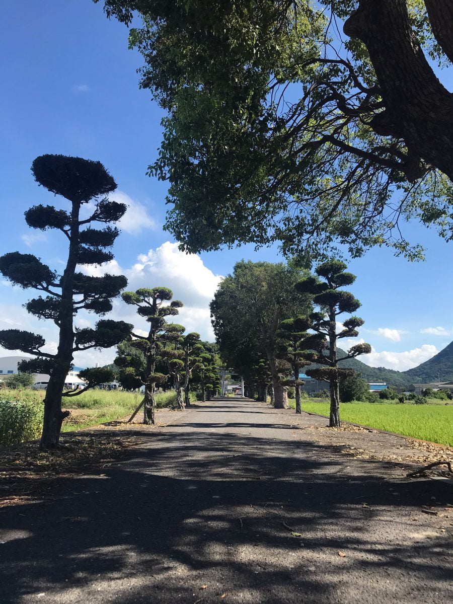 多度津町山階・春日神社 参道
