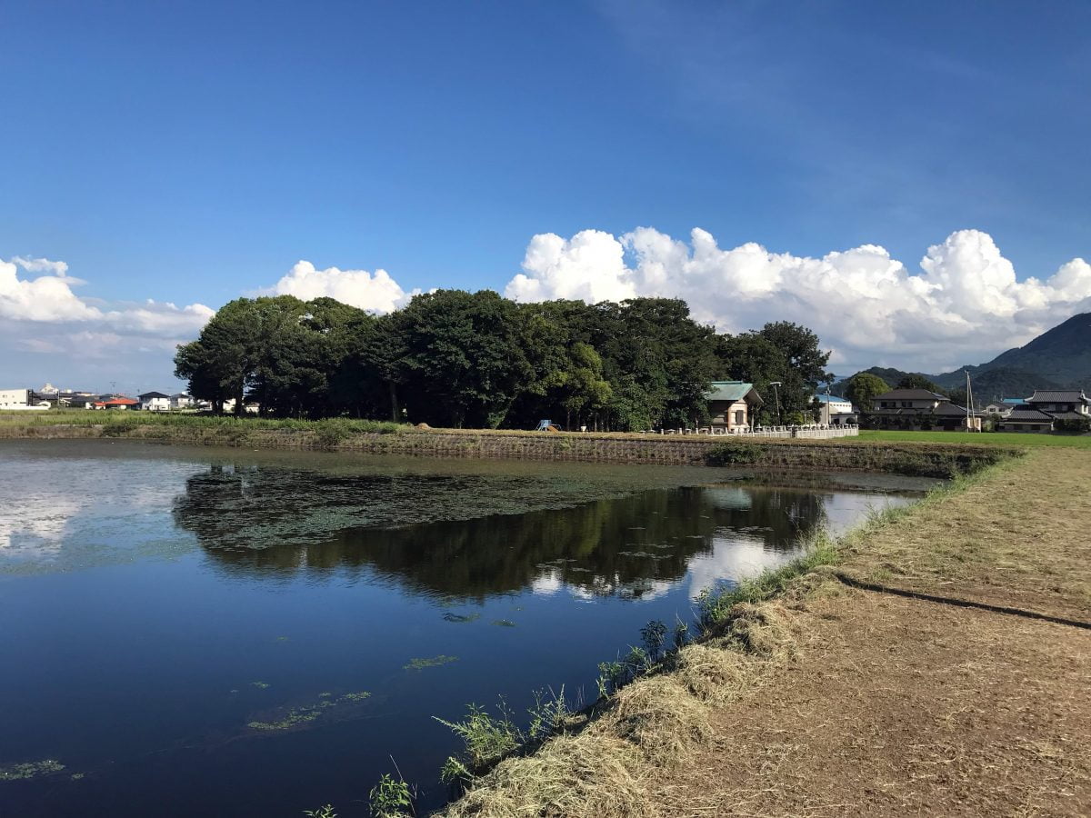 多度津町山階・春日神社 社叢 新池