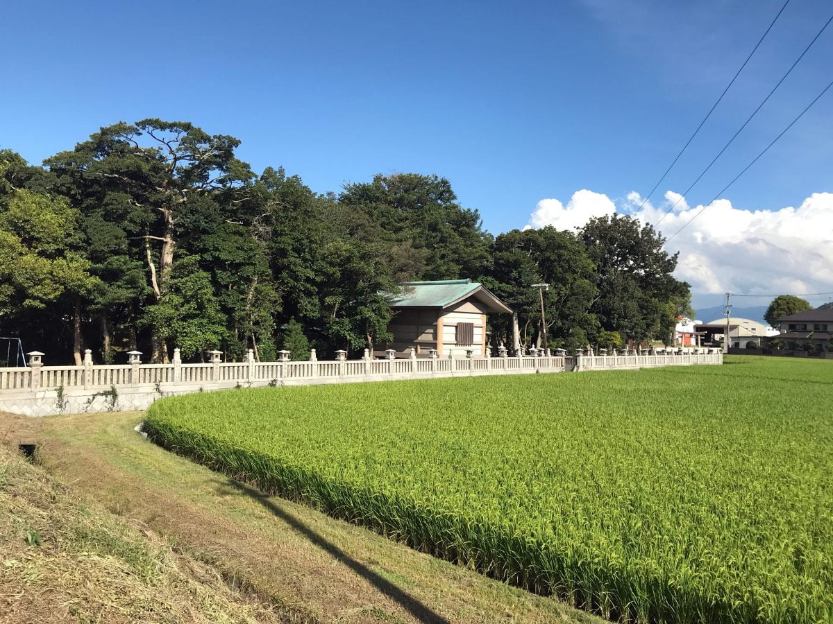 多度津町山階・春日神社 社叢 玉垣