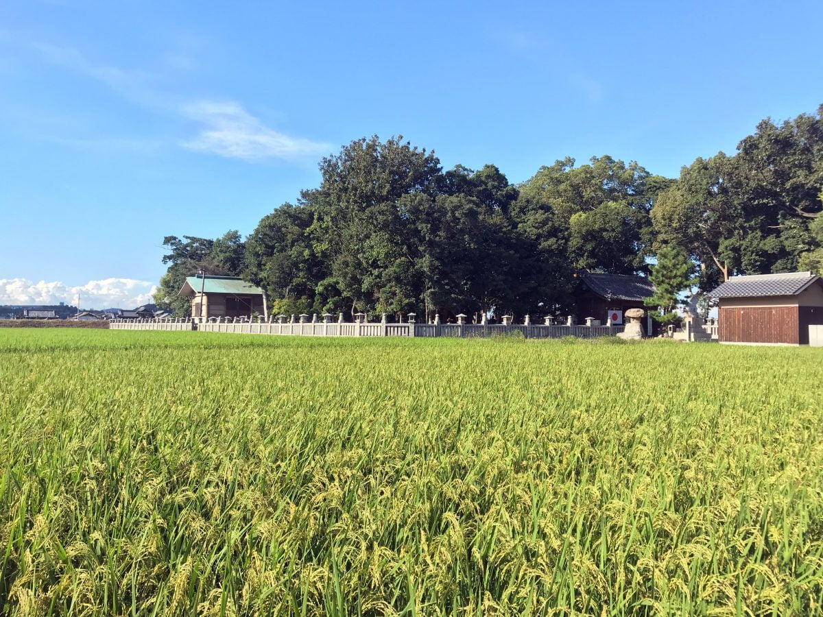 多度津町山階・春日神社 社叢 玉垣