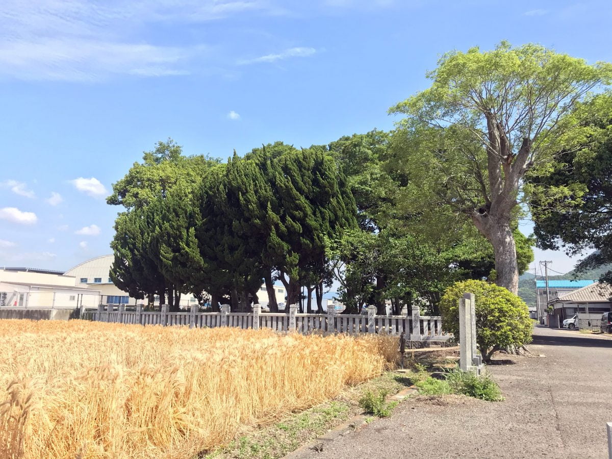 多度津町山階・若宮神社 社叢 玉垣