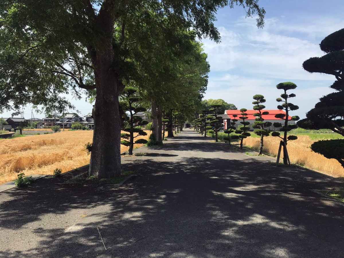 多度津町山階・春日神社 参道