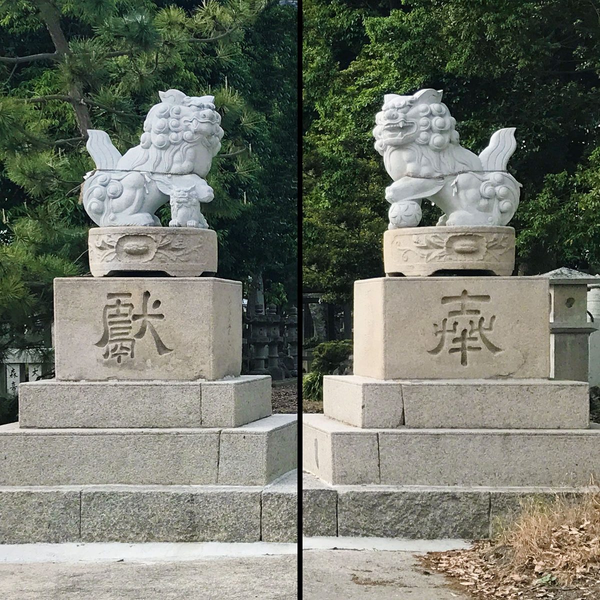多度津町山階・春日神社 狛犬