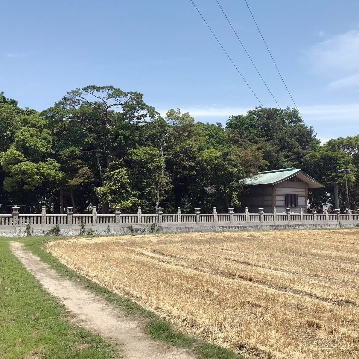多度津町山階・春日神社 社叢