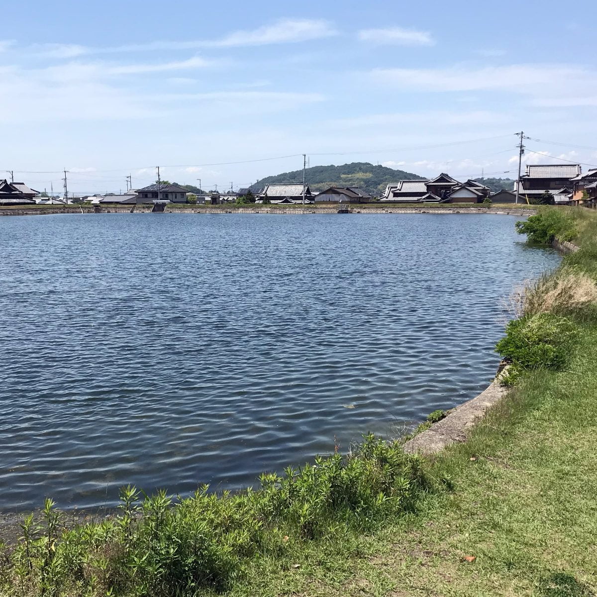 多度津町山階・新池