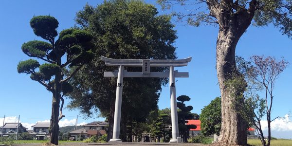 多度津町山階・春日神社 参道